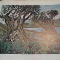 Livanis5