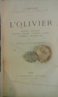 Lolivier1