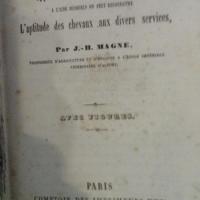 Magne2