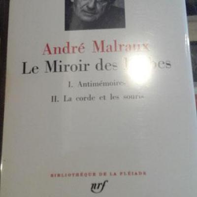 Malrauxlemiroir