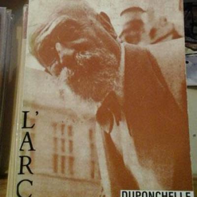 Marcelmausslarc