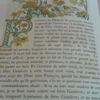 Mauricedenis7