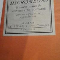 Micromegas1 1