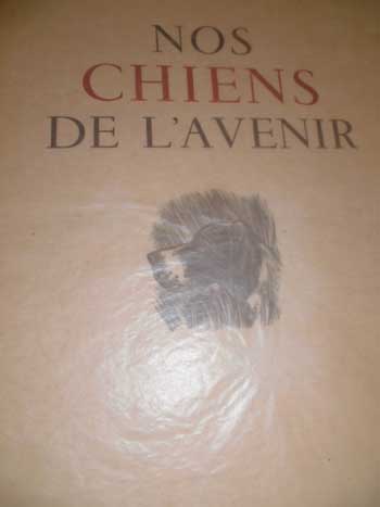 Noschiens