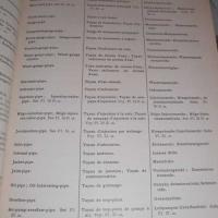 Paasch4