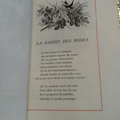 Pagnon