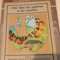 Papillonset2