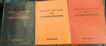 Petitatlasdes