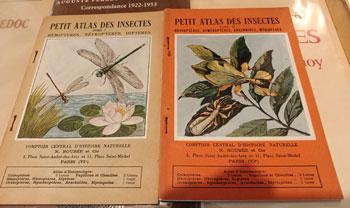 Petitatlasdesinsectes