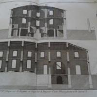 Pl33