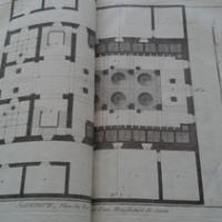 Pl35