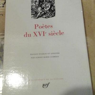 Poetesduxvisiecle