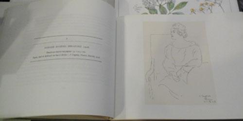 Poureugenia