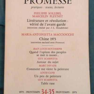 Collectif Revue Promesse Numéro 34-35