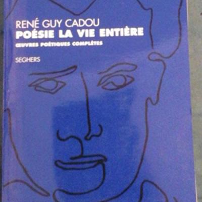 Reneguycadoupoesie