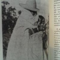 Stablo2