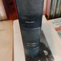 Tolstoilag1