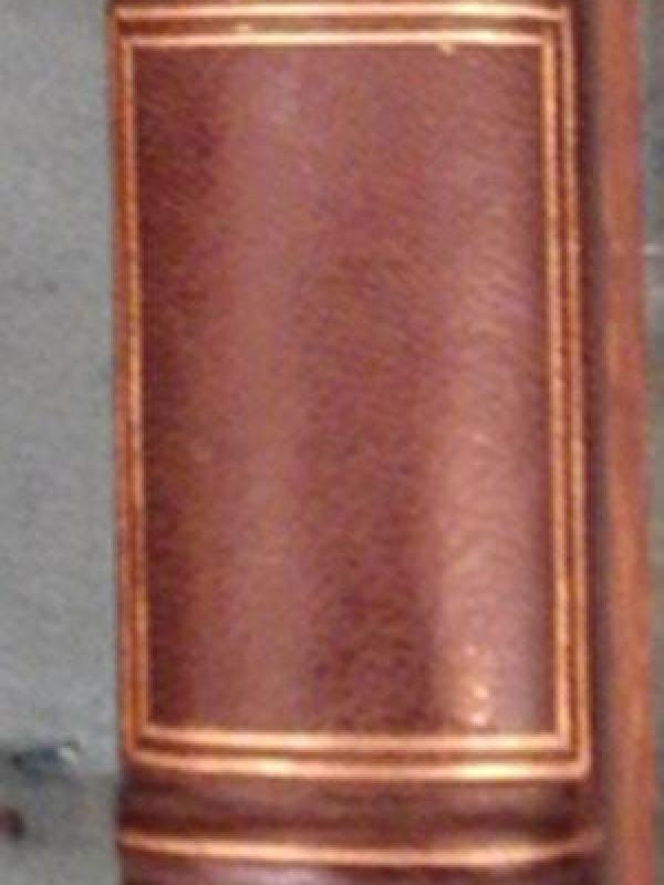 Viedesfourmis1