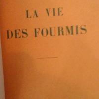 Viedesfourmis3