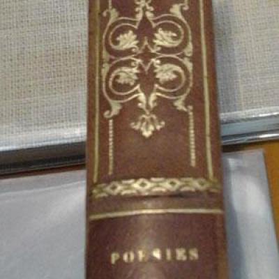 Vignypoesielemerre1