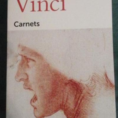 Vincicarnets